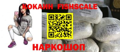 стаф Донецк