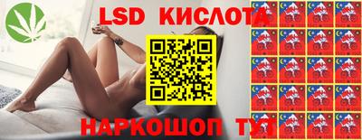 стаф Донецк