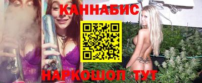 стаф Донской