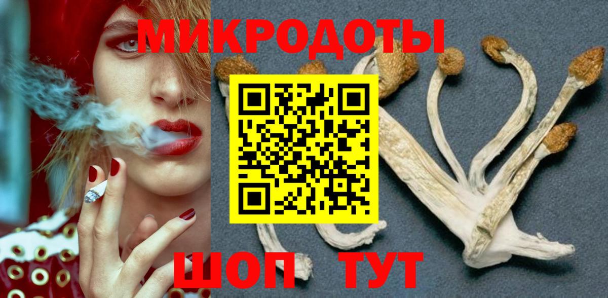 Галлюциногенные грибы Psilocybe Липецк