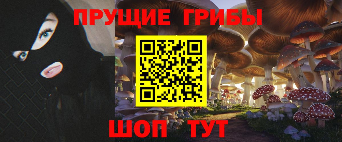 Псилоцибиновые грибы мицелий  Вход с VPN  Липецк 